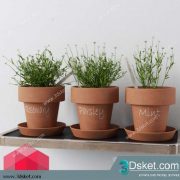 3D Model Plant Free Download 0137