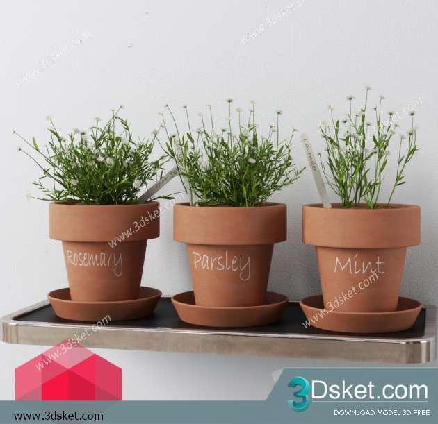 3D Model Plant Free Download 0137