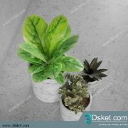 3D Model Plant Free Download 0139