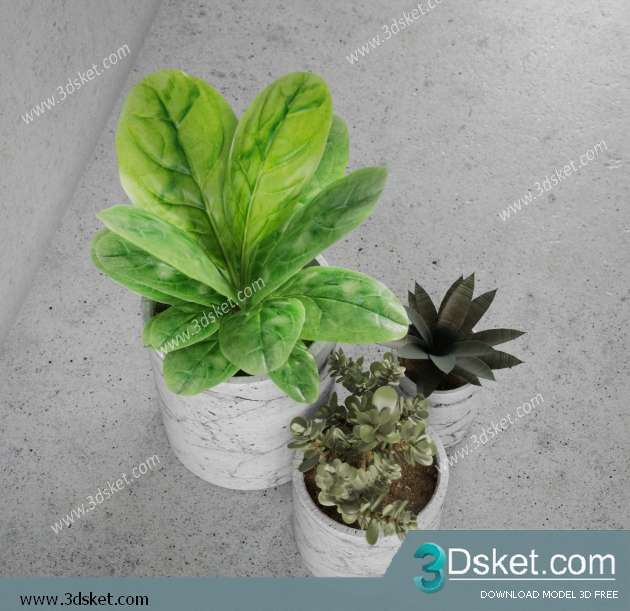 3D Model Plant Free Download 0139