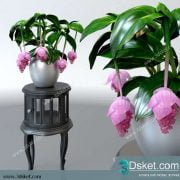 3D Model Plant Free Download 0140