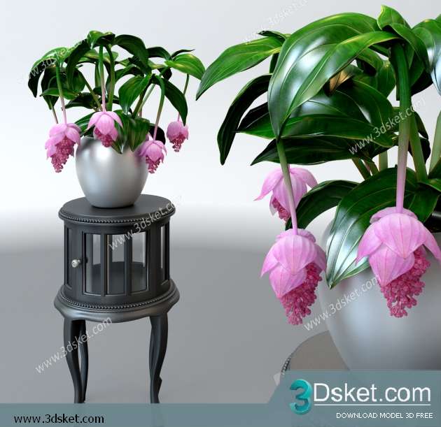 3D Model Plant Free Download 0140