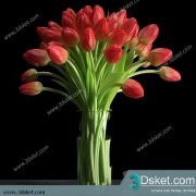 3D Model Plant Free Download 0142