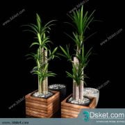 3D Model Plant Free Download 0145