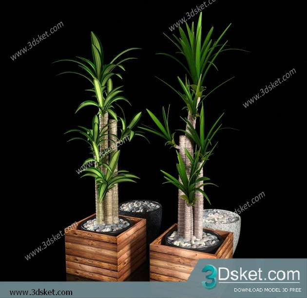 3D Model Plant Free Download 0145