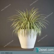 3D Model Plant Free Download 0146