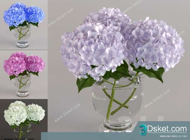 3D Model Plant Free Download 025