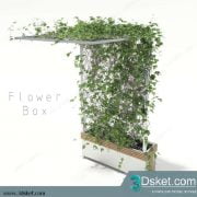 3D Model Plant Free Download 0164