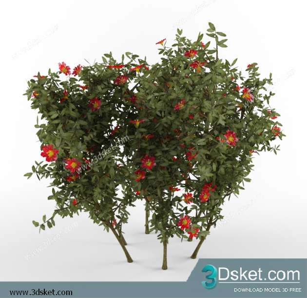 3D Model Plant Free Download 0166