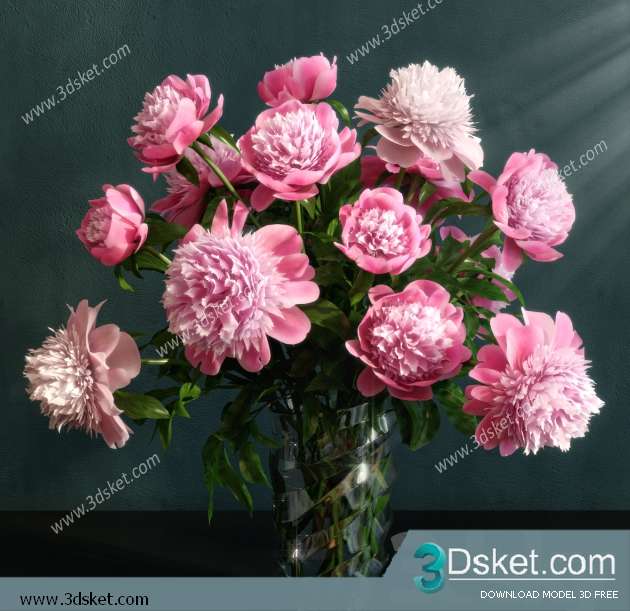 3D Model Plant Free Download 0170