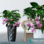 3D Model Plant Free Download 0171