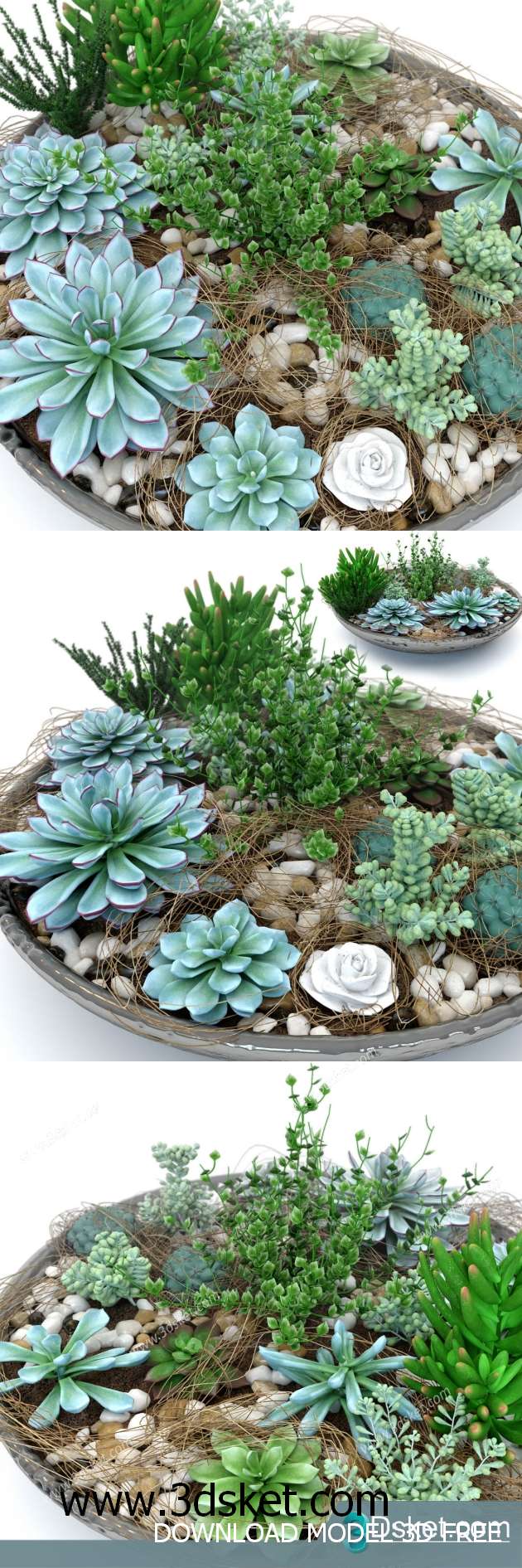 3D Model Plant Free Download 001