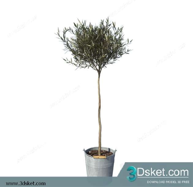 3D Model Plant Free Download 0188