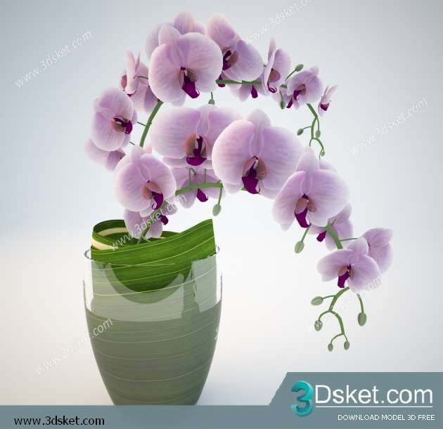 3D Model Plant Free Download 029