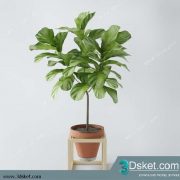 3D Model Plant Free Download 0190