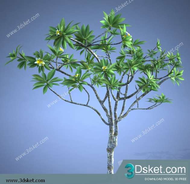 3D Model Plant Free Download 0191