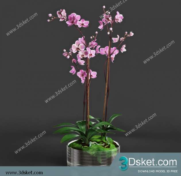 3D Model Plant Free Download 0192