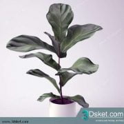 3D Model Plant Free Download 0195