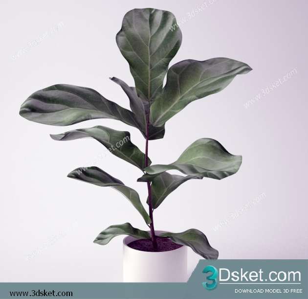 3D Model Plant Free Download 0195