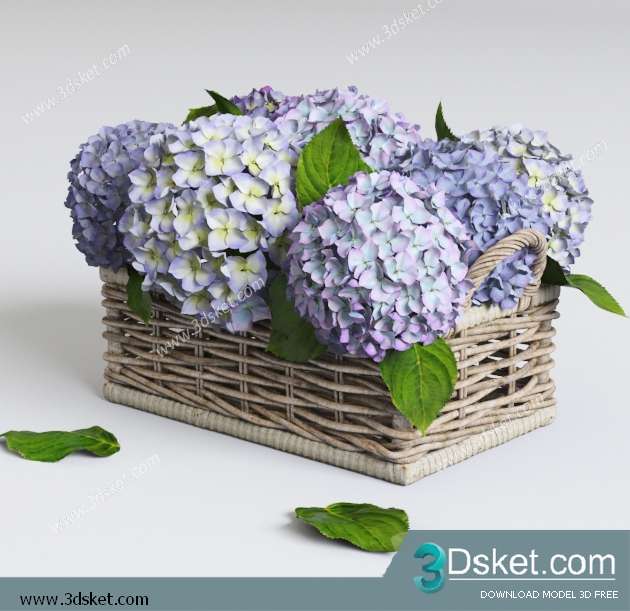 3D Model Plant Free Download 0196