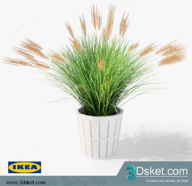 3D Model Plant Free Download 0198