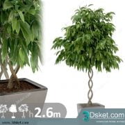3D Model Plant Free Download 0200