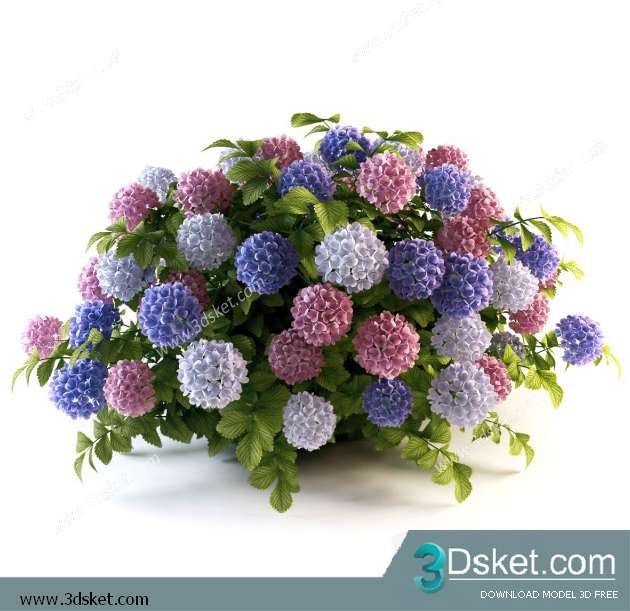 3D Model Plant Free Download 030