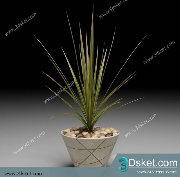 Free Download 3D Models Tableware Kitchen 0128