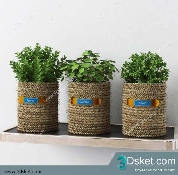 Free Download 3D Models Tableware Kitchen 0148