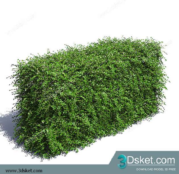 3D Model Plant Free Download 002
