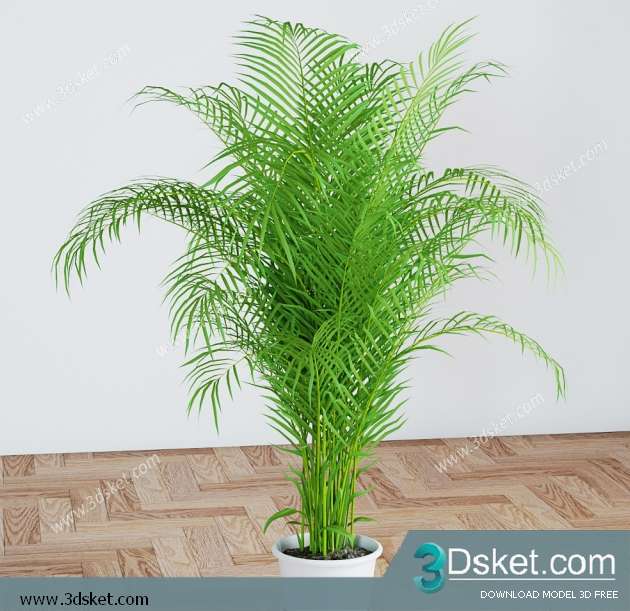 3D Model Plant Free Download 034