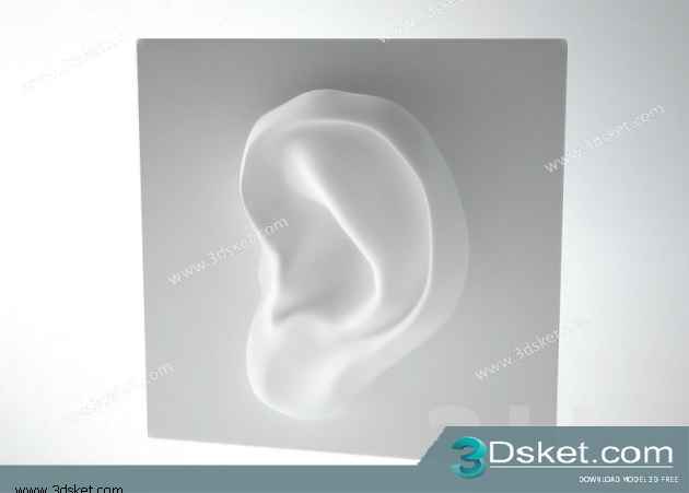 Free Download Sculpture 3D Model Điêu Khắc 053