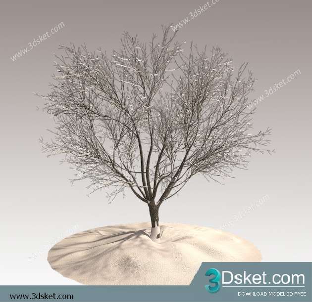 3D Model Plant Free Download 0205