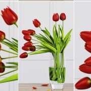 3D Model Plant Free Download 0209
