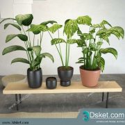 3D Model Plant Free Download 0210