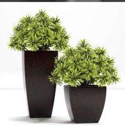 3D Model Plant Free Download 0214