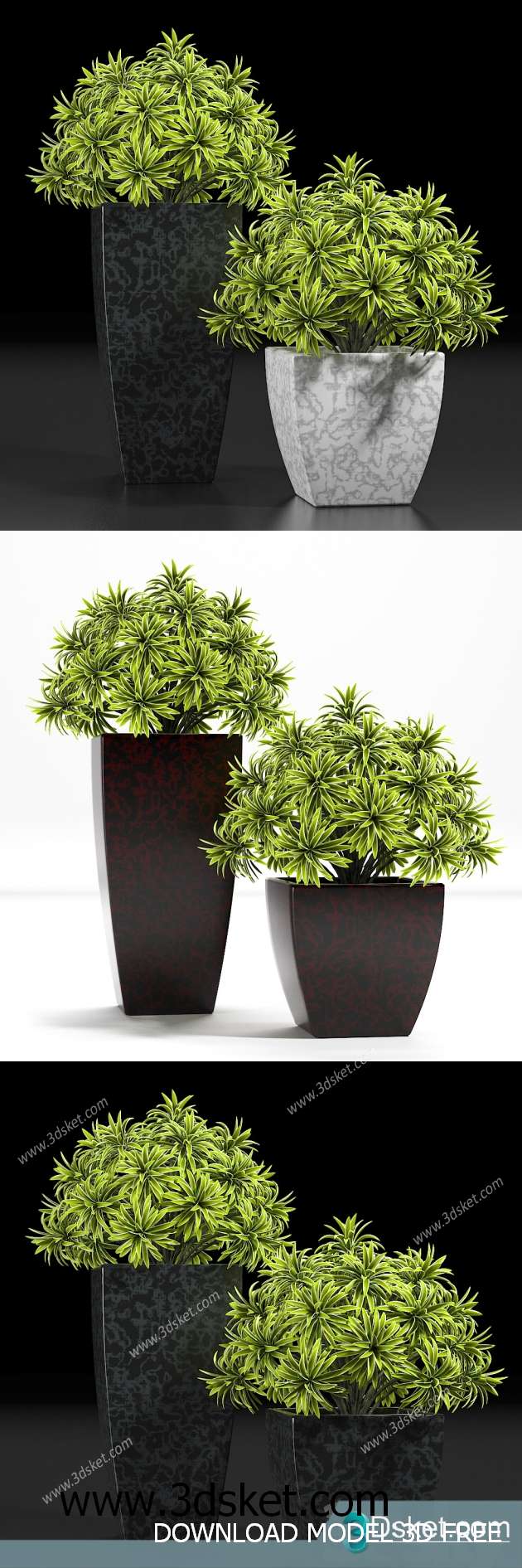 3D Model Plant Free Download 0214