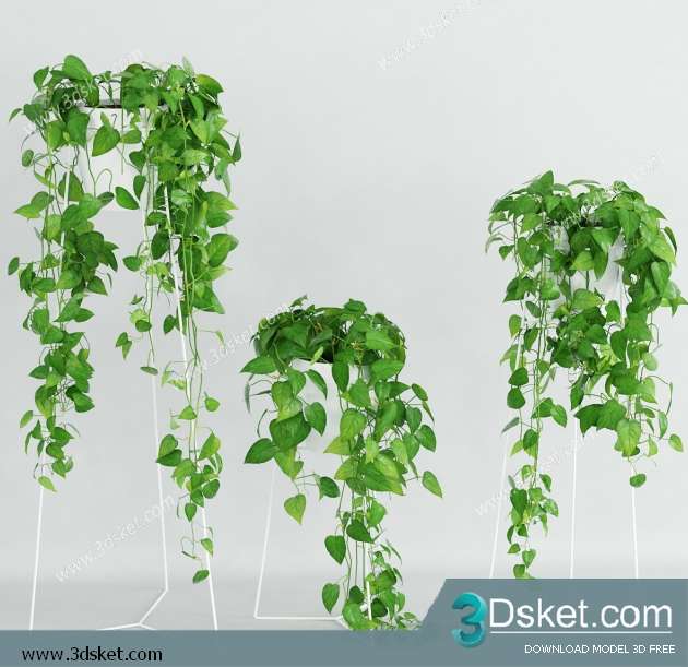 3D Model Plant Free Download 0220