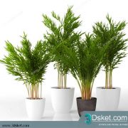 3D Model Plant Free Download 0222