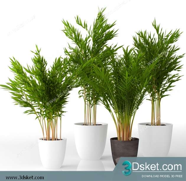 3D Model Plant Free Download 0222