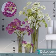 3D Model Plant Free Download 0225