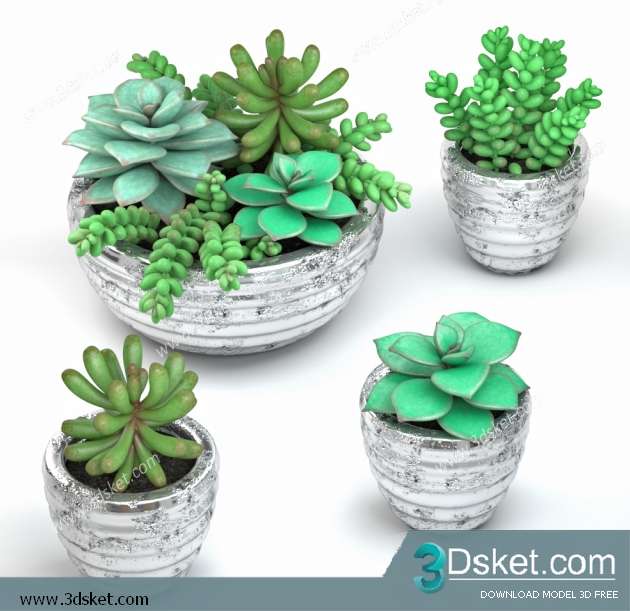 3D Model Plant Free Download 0232