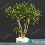 3D Model Plant Free Download 0245