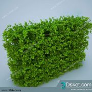 3D Model Plant Free Download 0248