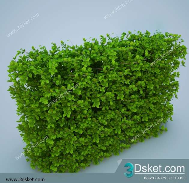 3D Model Plant Free Download 0248