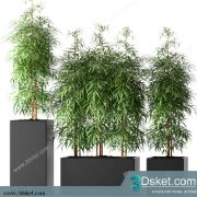 3D Model Plant Free Download 0254