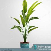 3D Model Plant Free Download 0261