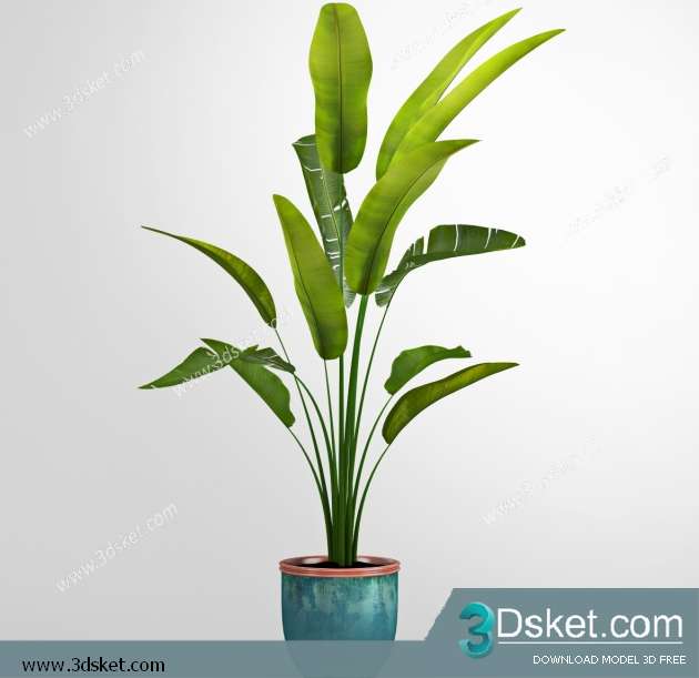 3D Model Plant Free Download 0261