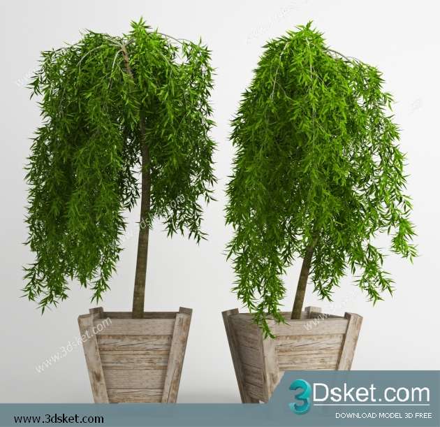 3D Model Plant Free Download 0263