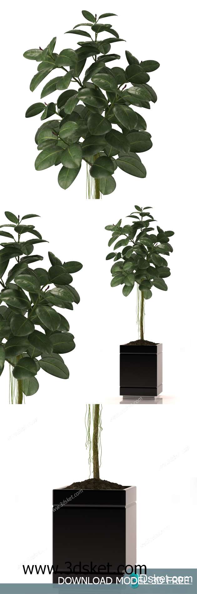 3D Model Plant Free Download 0268